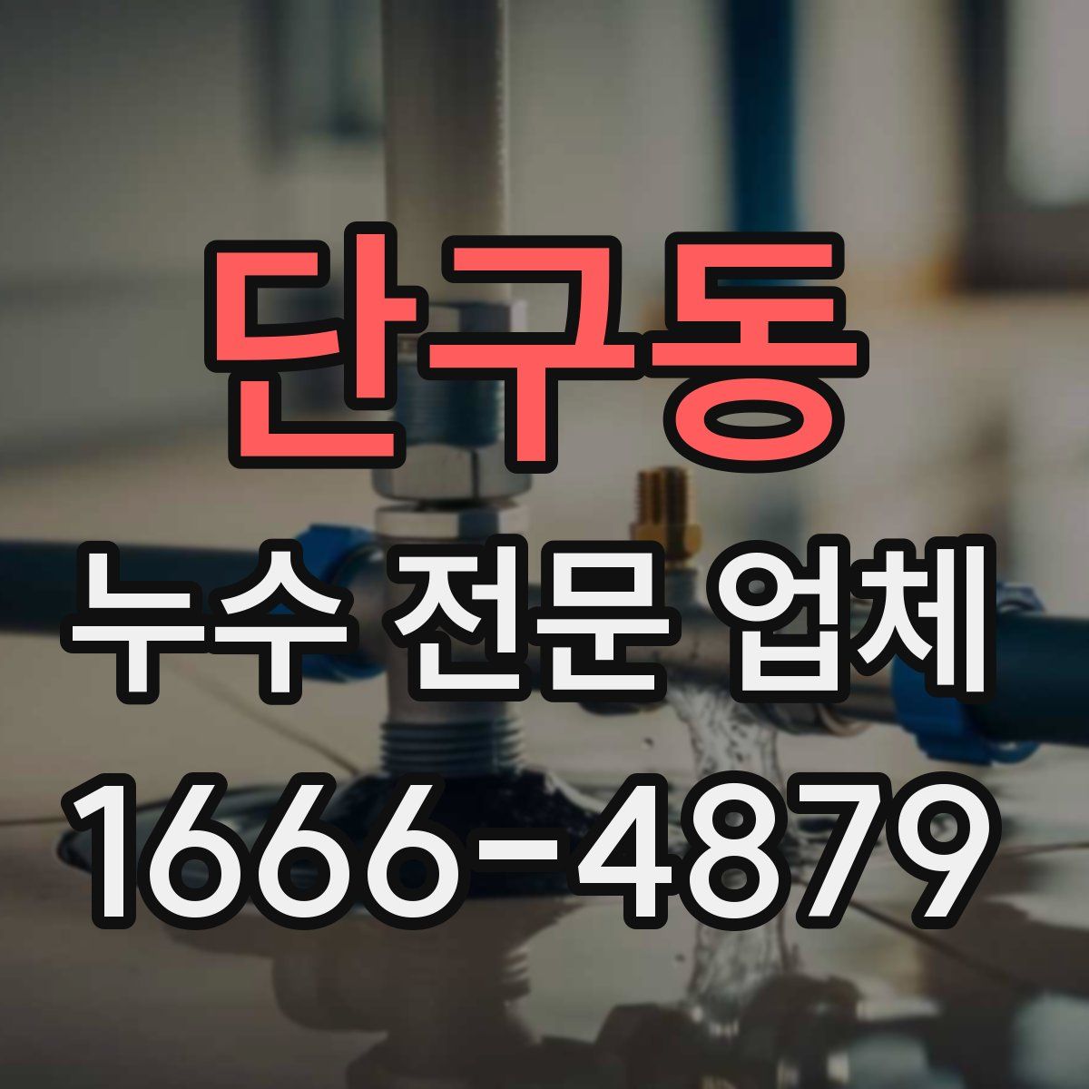 단구동 누수 전문 업체