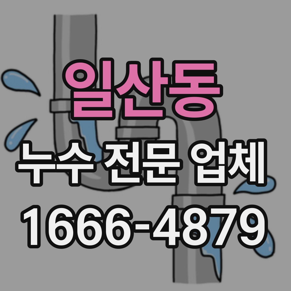 일산동 누수 전문 업체