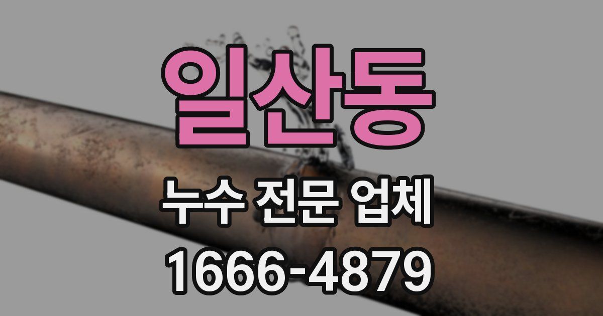 일산동 누수 전문 업체