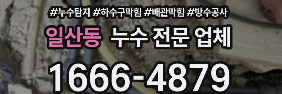 일산동 누수 전문 업체