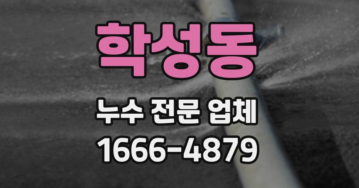 학성동 누수 전문 업체
