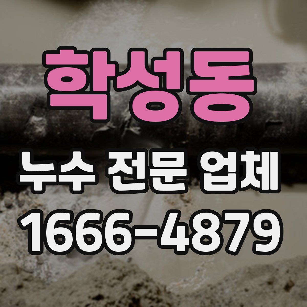 학성동 누수 전문 업체