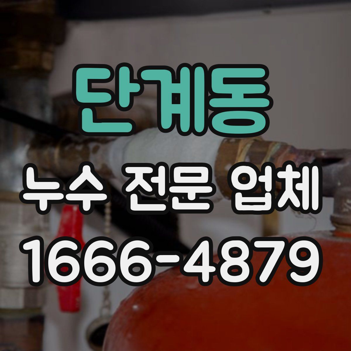 단계동 누수 전문 업체