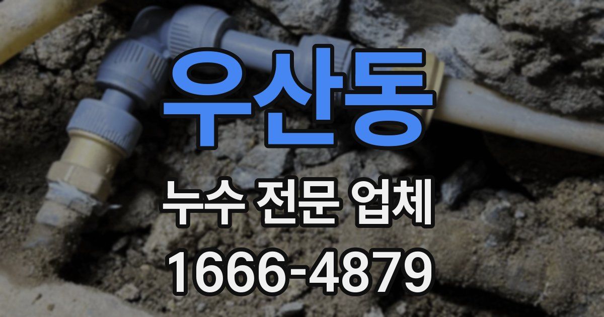 우산동 누수 전문 업체