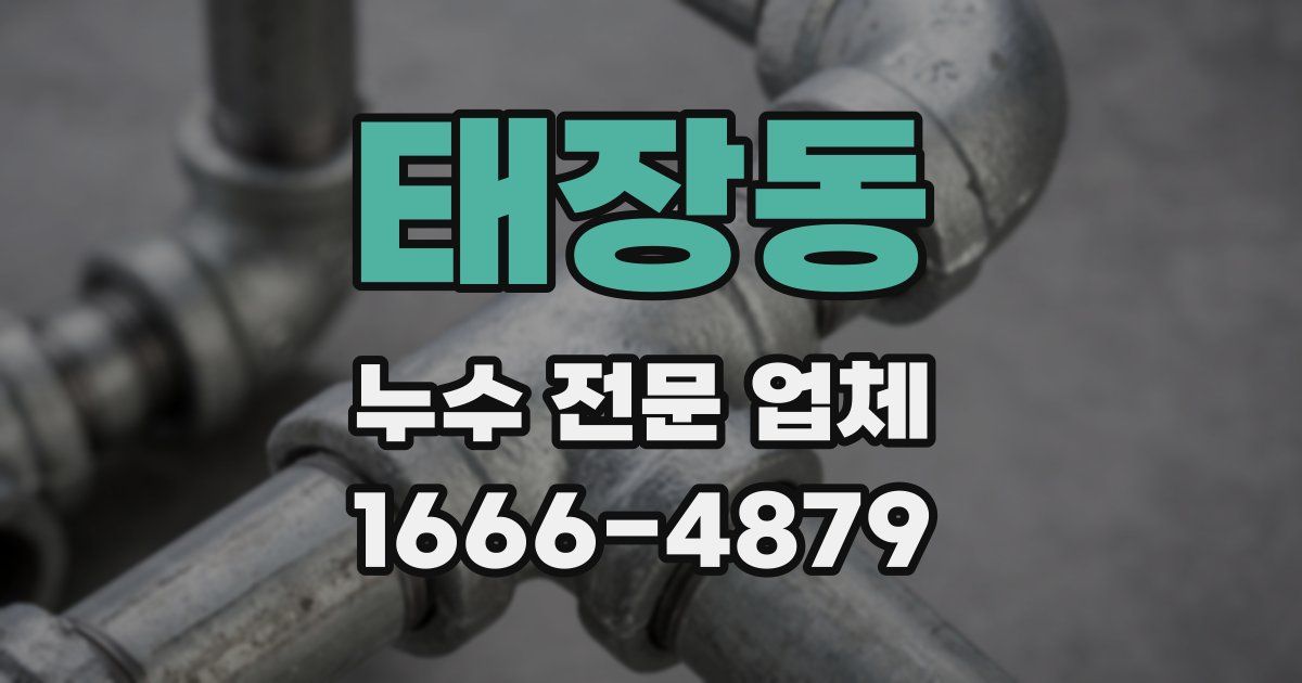태장동 누수 전문 업체