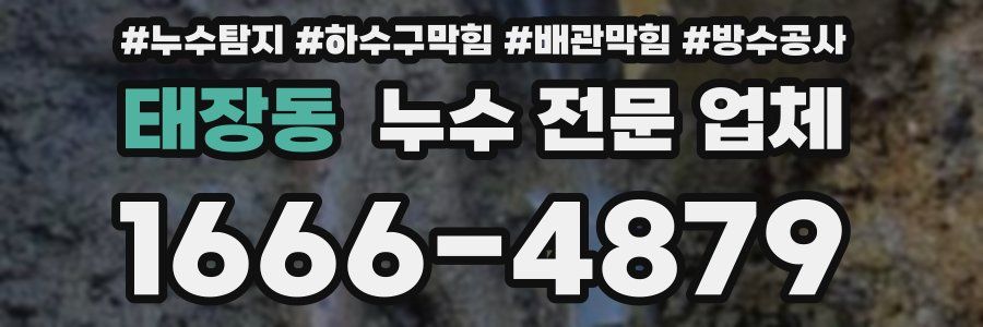 태장동 누수 전문 업체