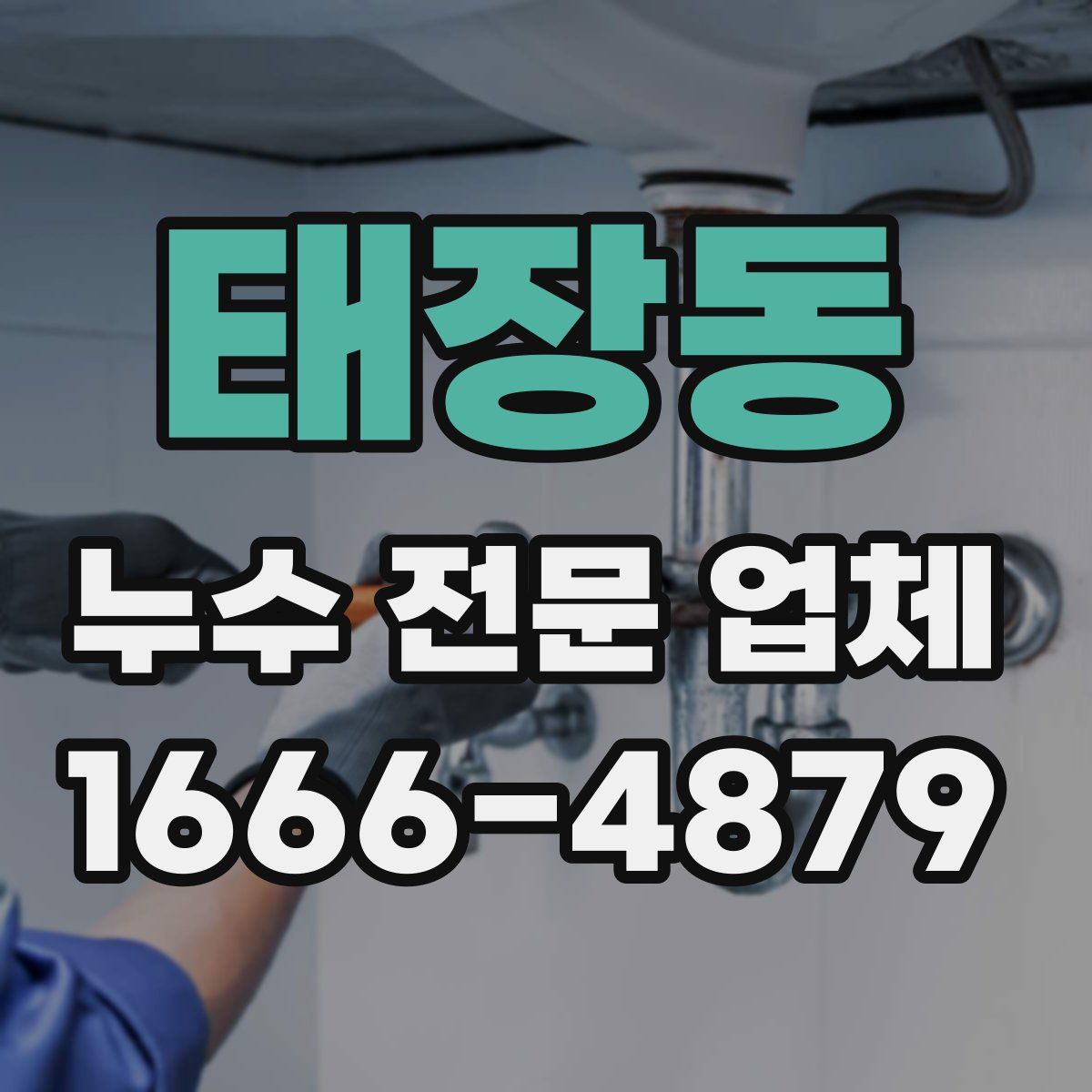 태장동 누수 전문 업체