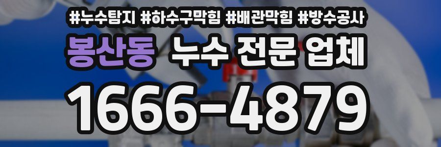 봉산동 누수 전문 업체