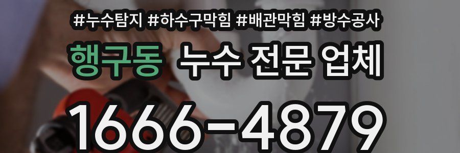 행구동 누수 전문 업체