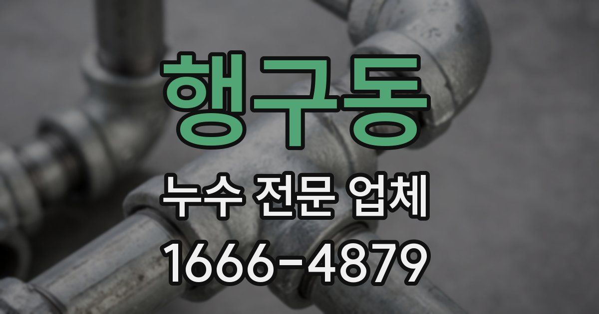 행구동 누수 전문 업체