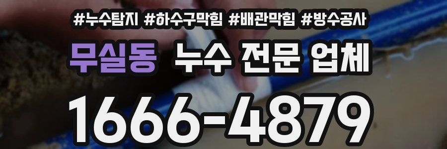 무실동 누수 전문 업체