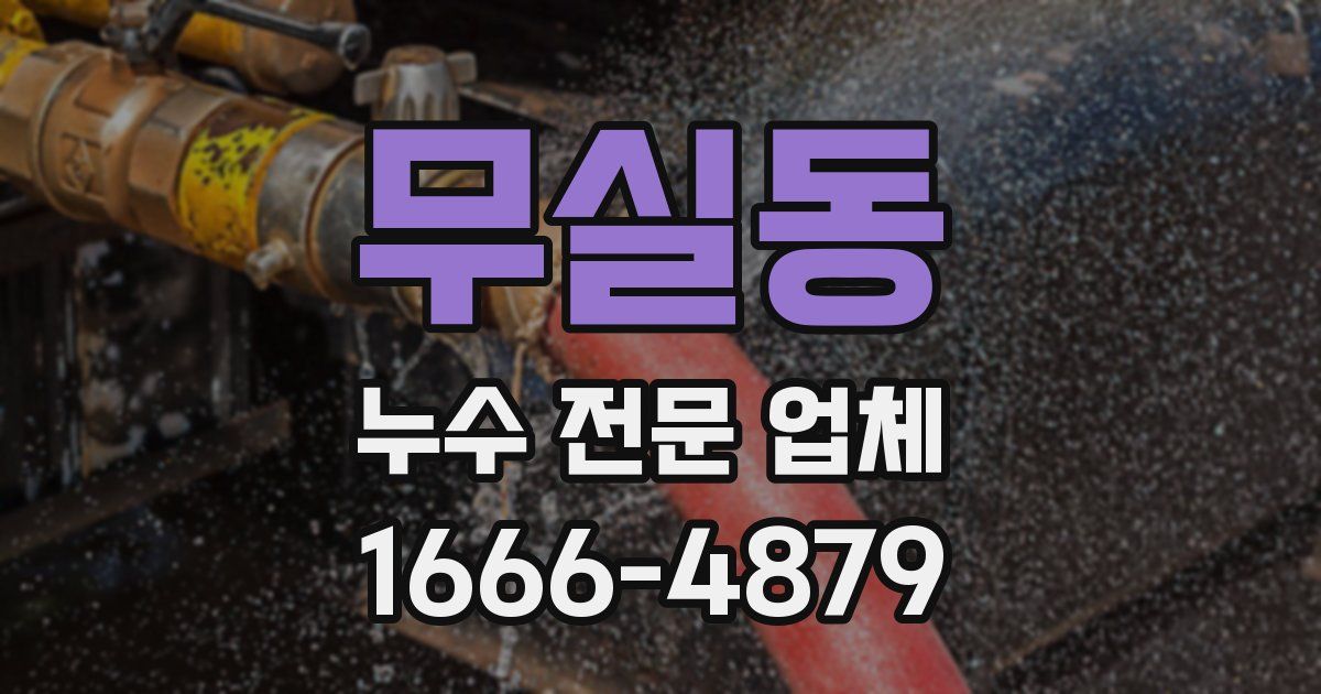 무실동 누수 전문 업체