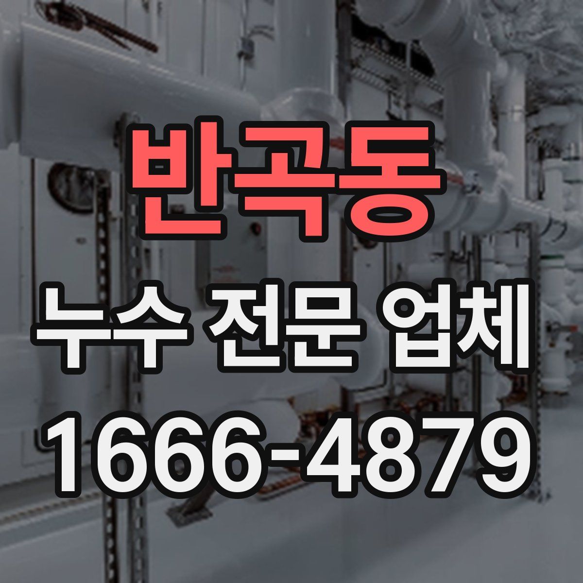 반곡동 누수 전문 업체