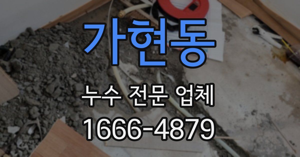 가현동 누수 전문 업체