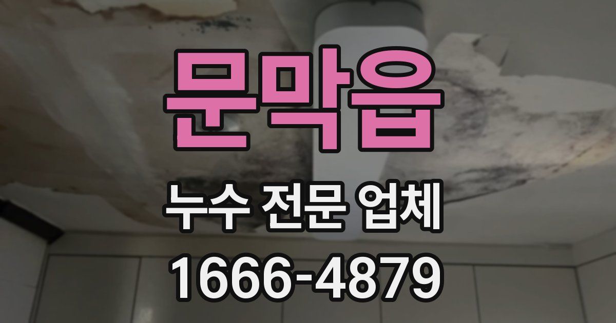 문막읍 누수 전문 업체