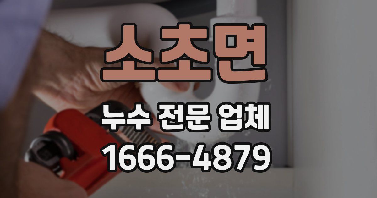 소초면 누수 전문 업체