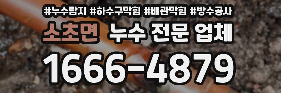 소초면 누수 전문 업체