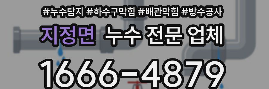 지정면 누수 전문 업체