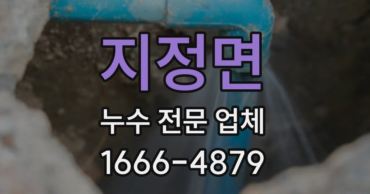 지정면 누수 전문 업체