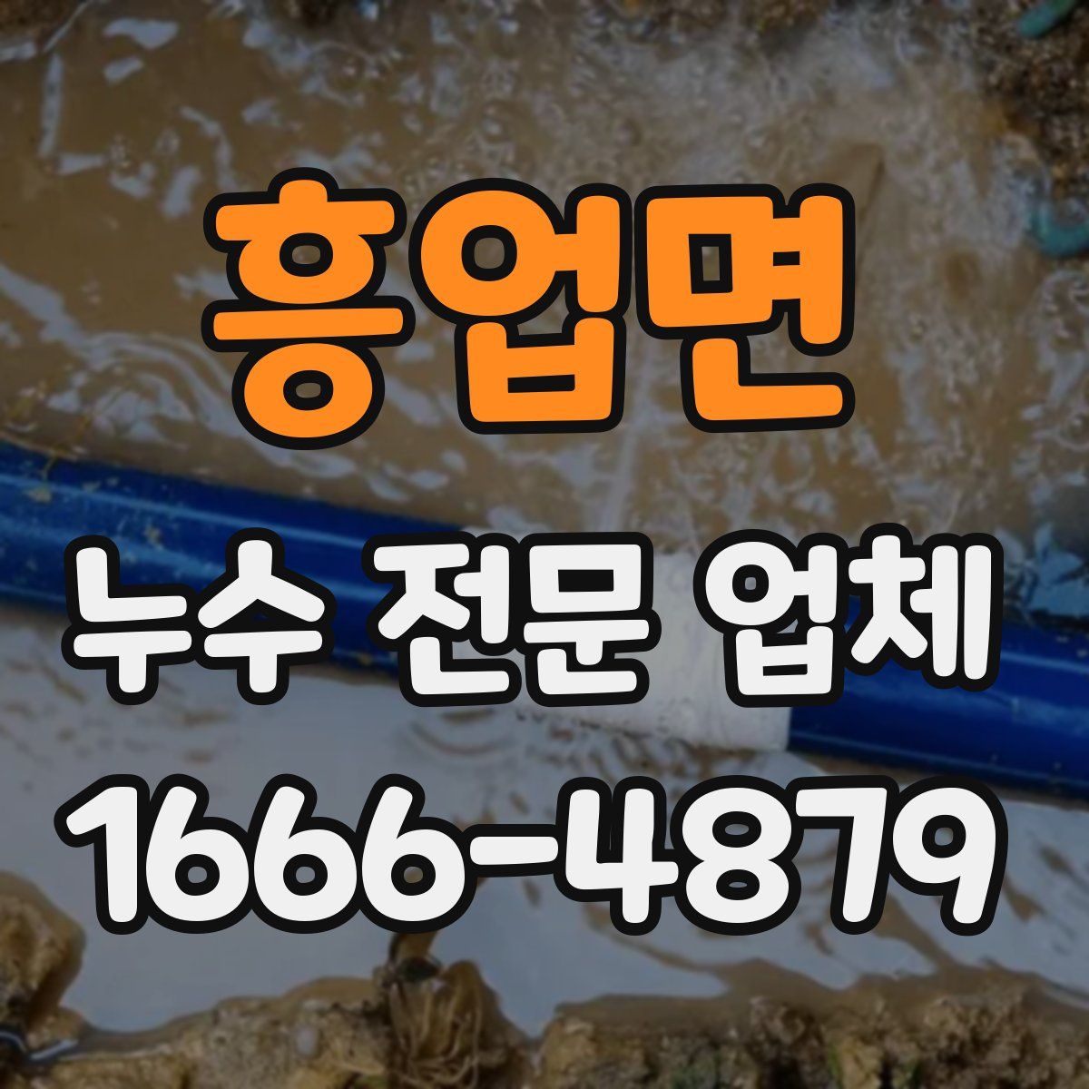 흥업면 누수 전문 업체