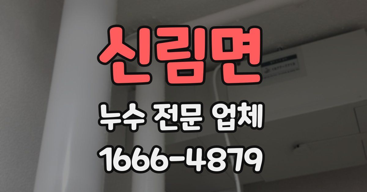 신림면 누수 전문 업체