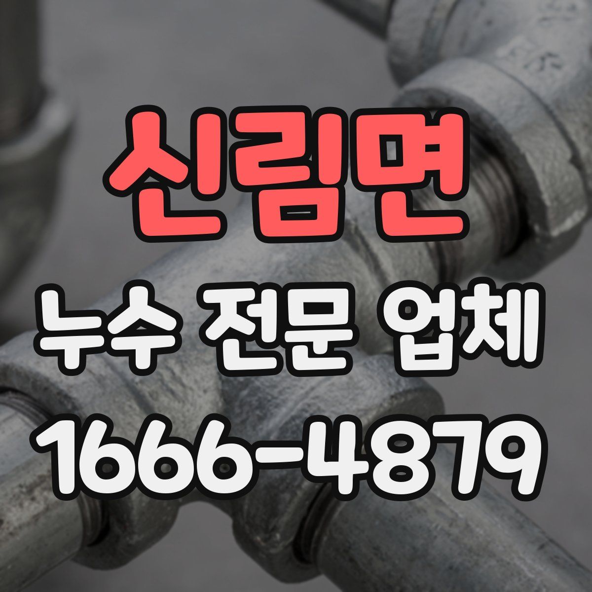 신림면 누수 전문 업체