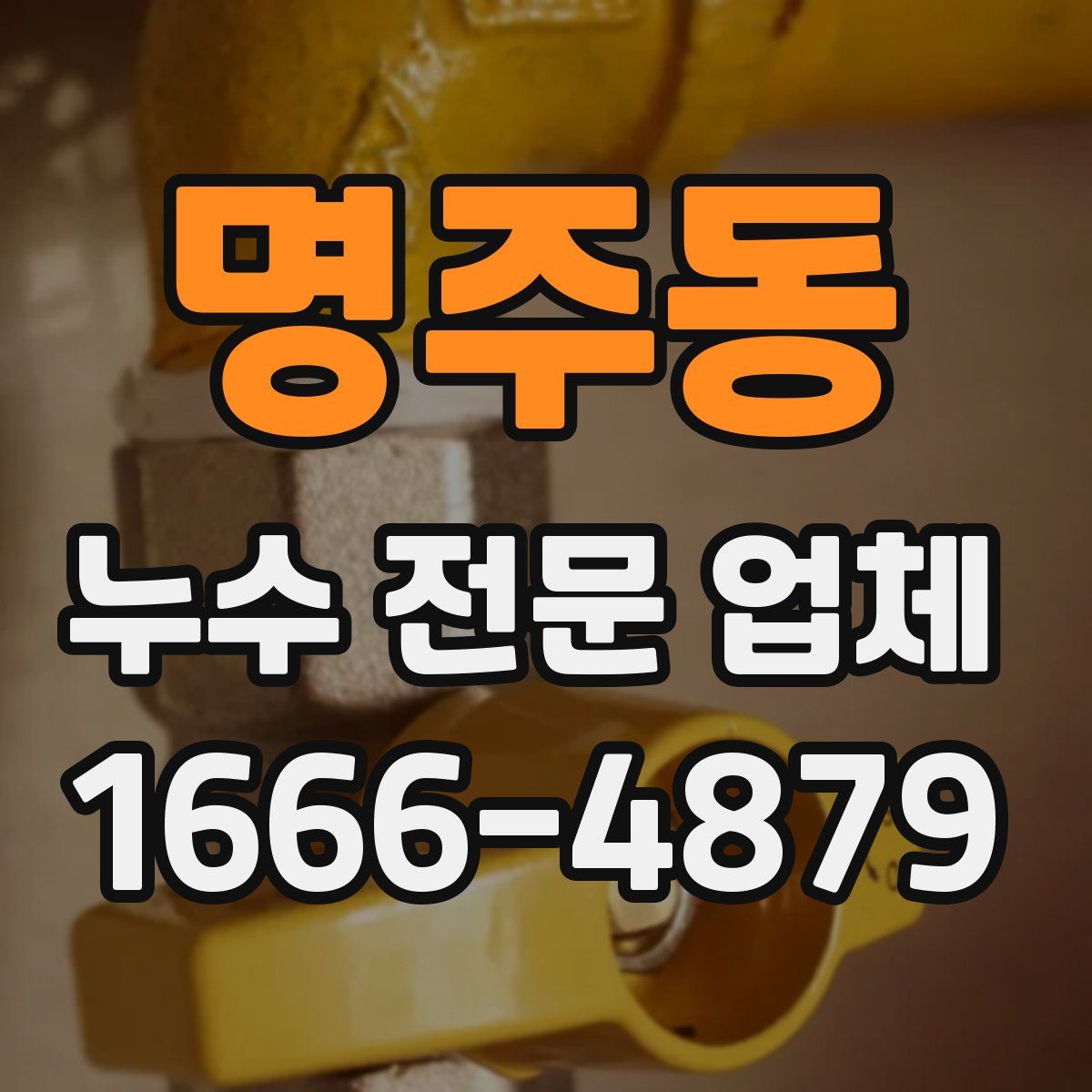 명주동 누수 전문 업체