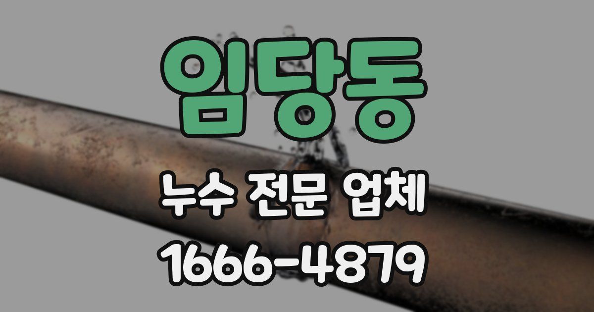 임당동 누수 전문 업체