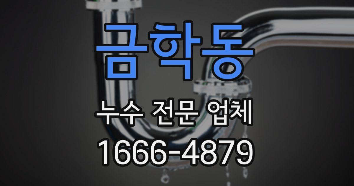 금학동 누수 전문 업체