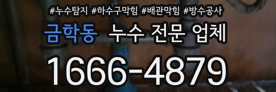 금학동 누수 전문 업체