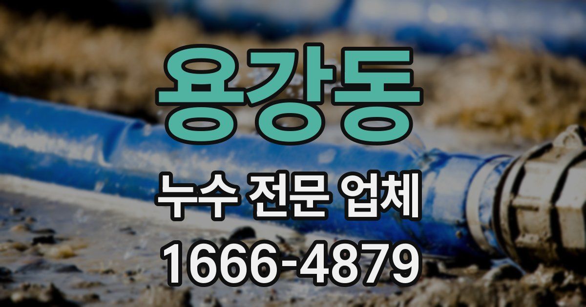 용강동 누수 전문 업체