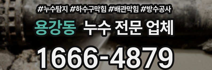용강동 누수 전문 업체
