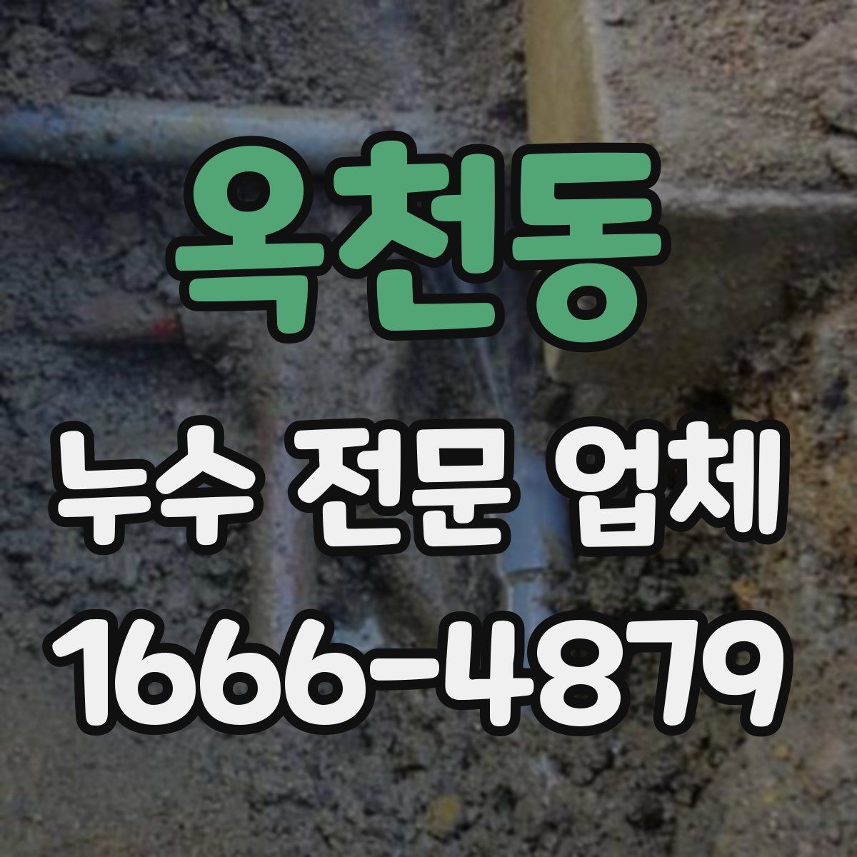 옥천동 누수 전문 업체