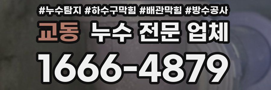 교동 누수 전문 업체