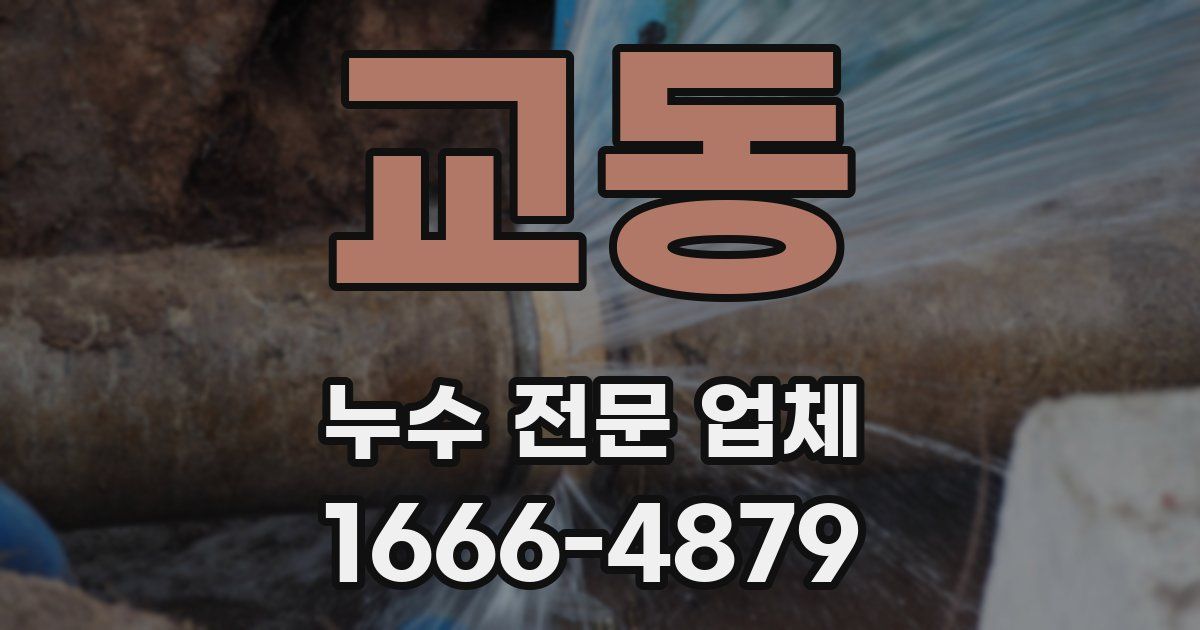 교동 누수 전문 업체