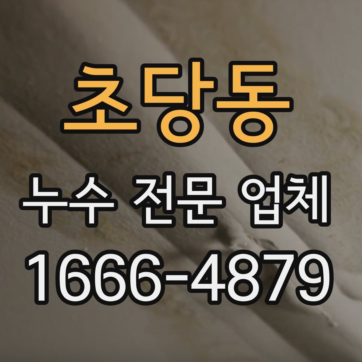 초당동 누수 전문 업체