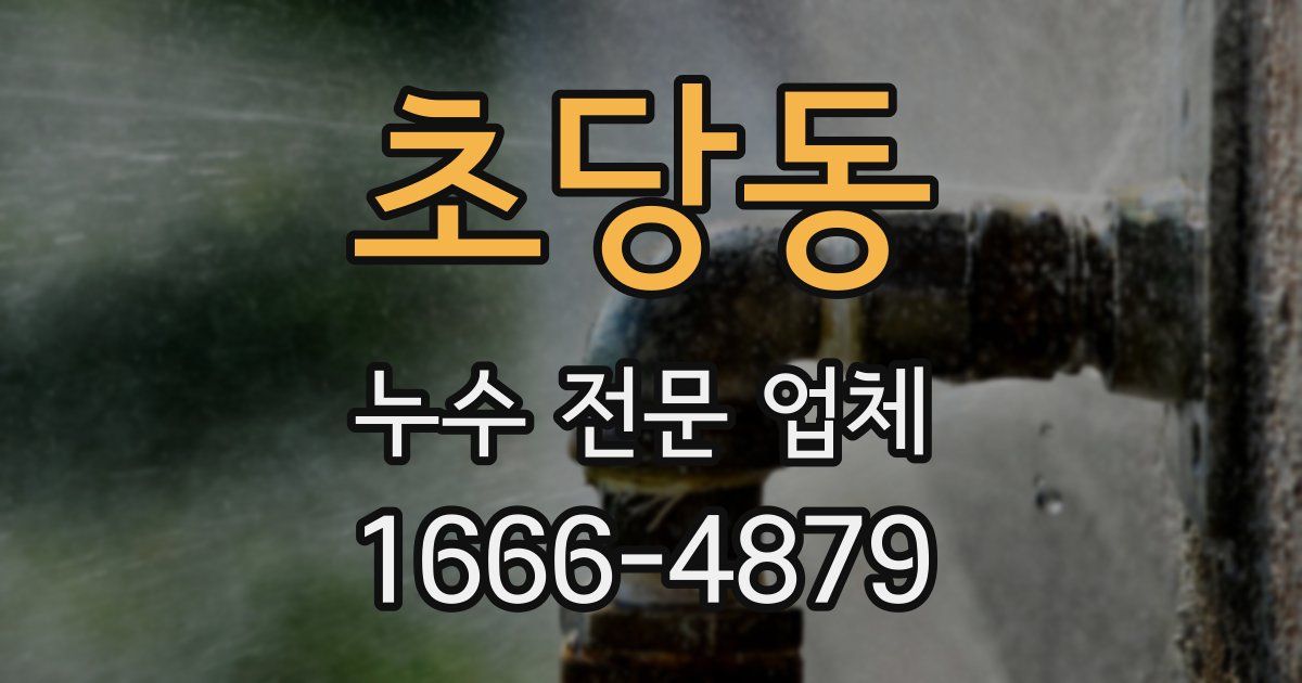 초당동 누수 전문 업체