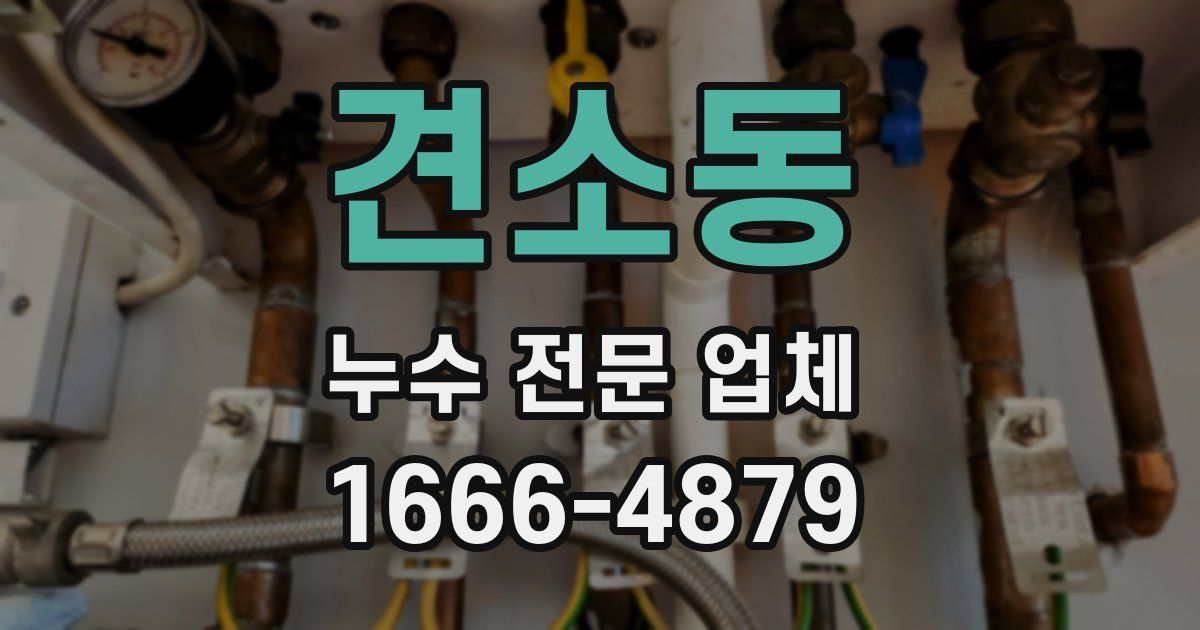 견소동 누수 전문 업체