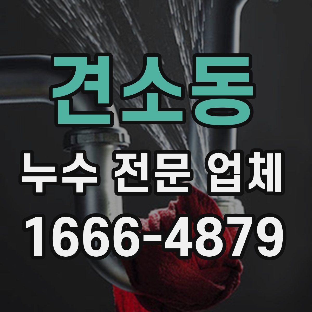 견소동 누수 전문 업체