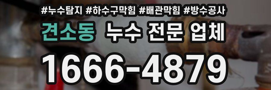 견소동 누수 전문 업체