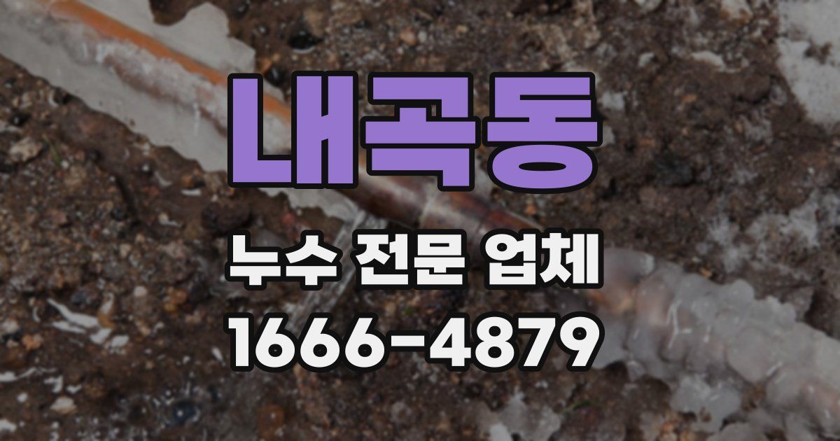 내곡동 누수 전문 업체