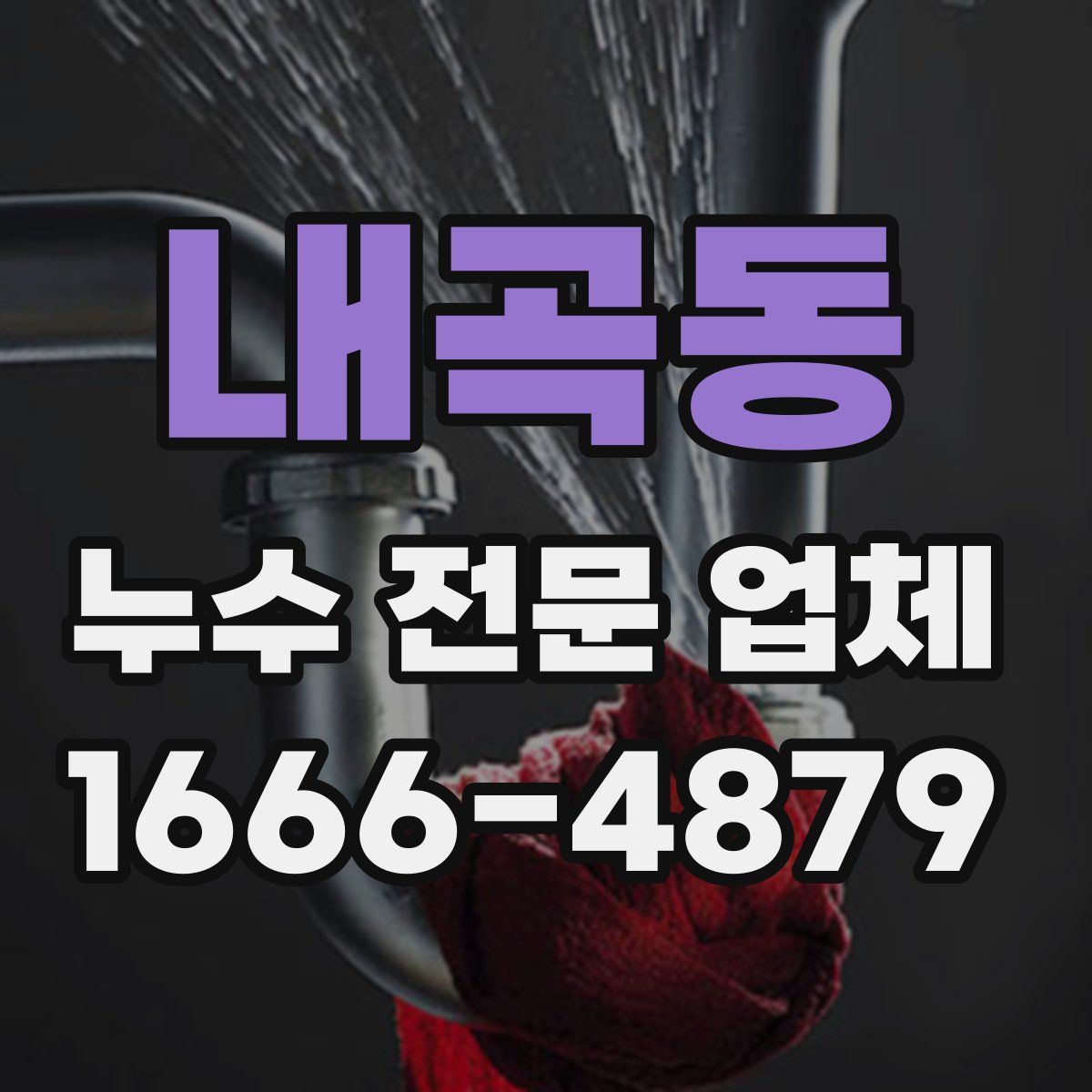 내곡동 누수 전문 업체