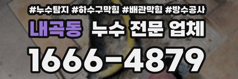 내곡동 누수 전문 업체