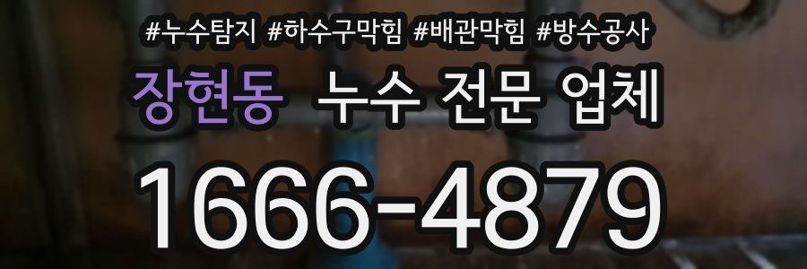 장현동 누수 전문 업체