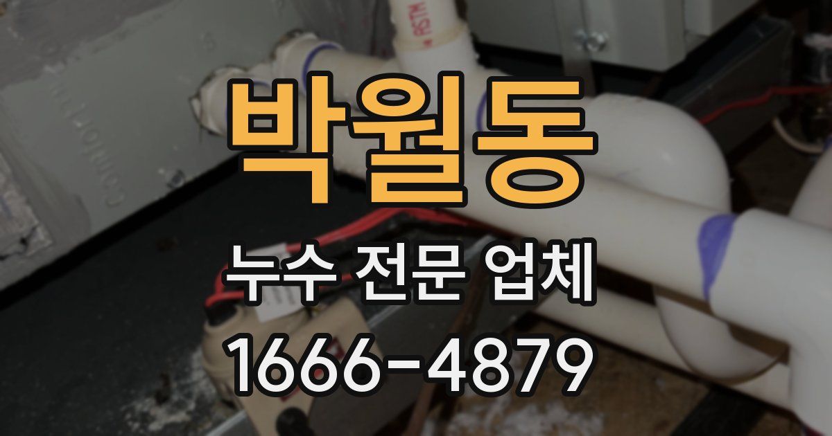 박월동 누수 전문 업체