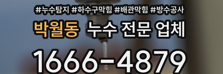 박월동 누수 전문 업체