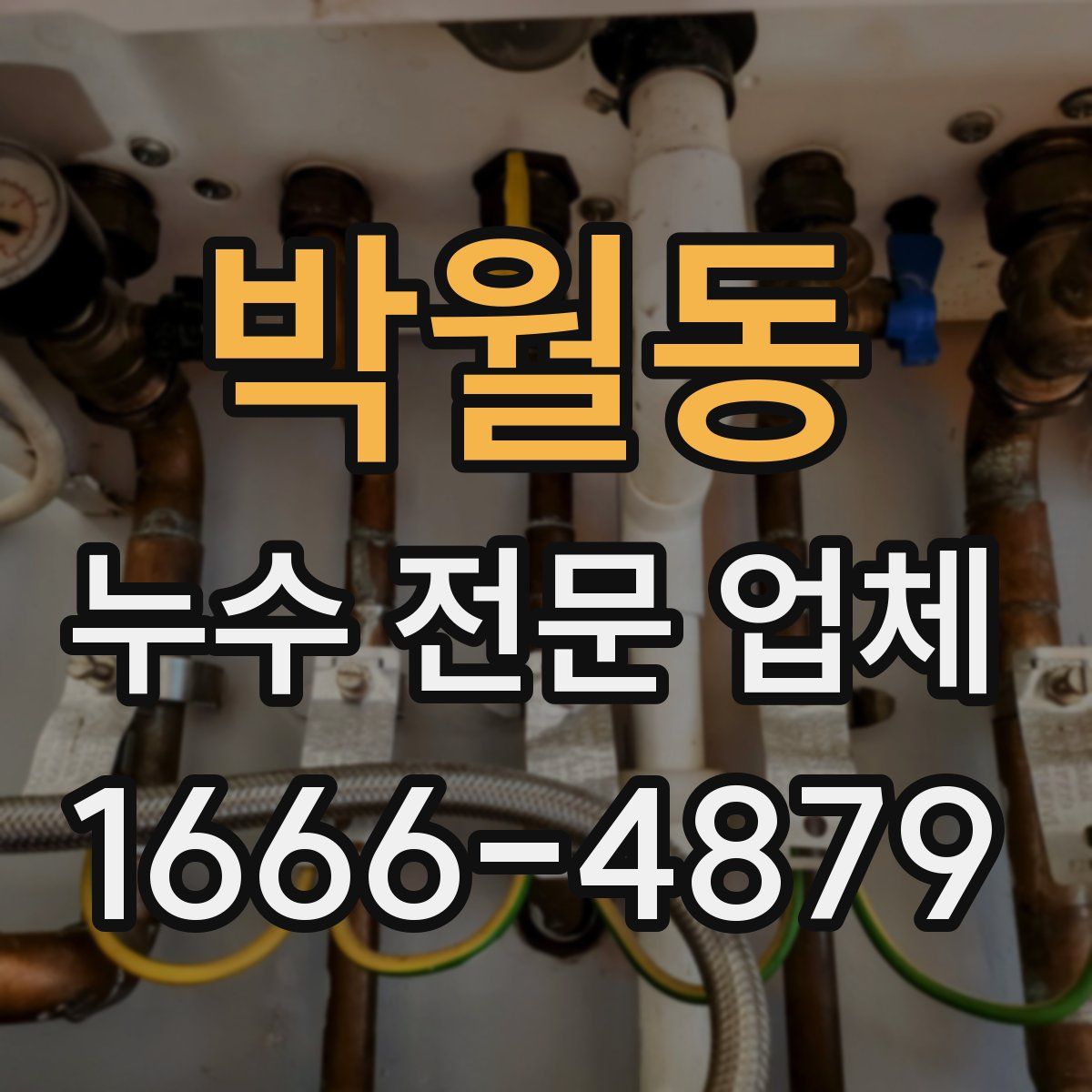 박월동 누수 전문 업체