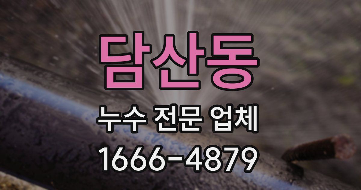담산동 누수 전문 업체