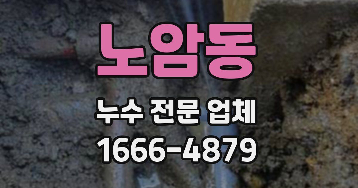 노암동 누수 전문 업체