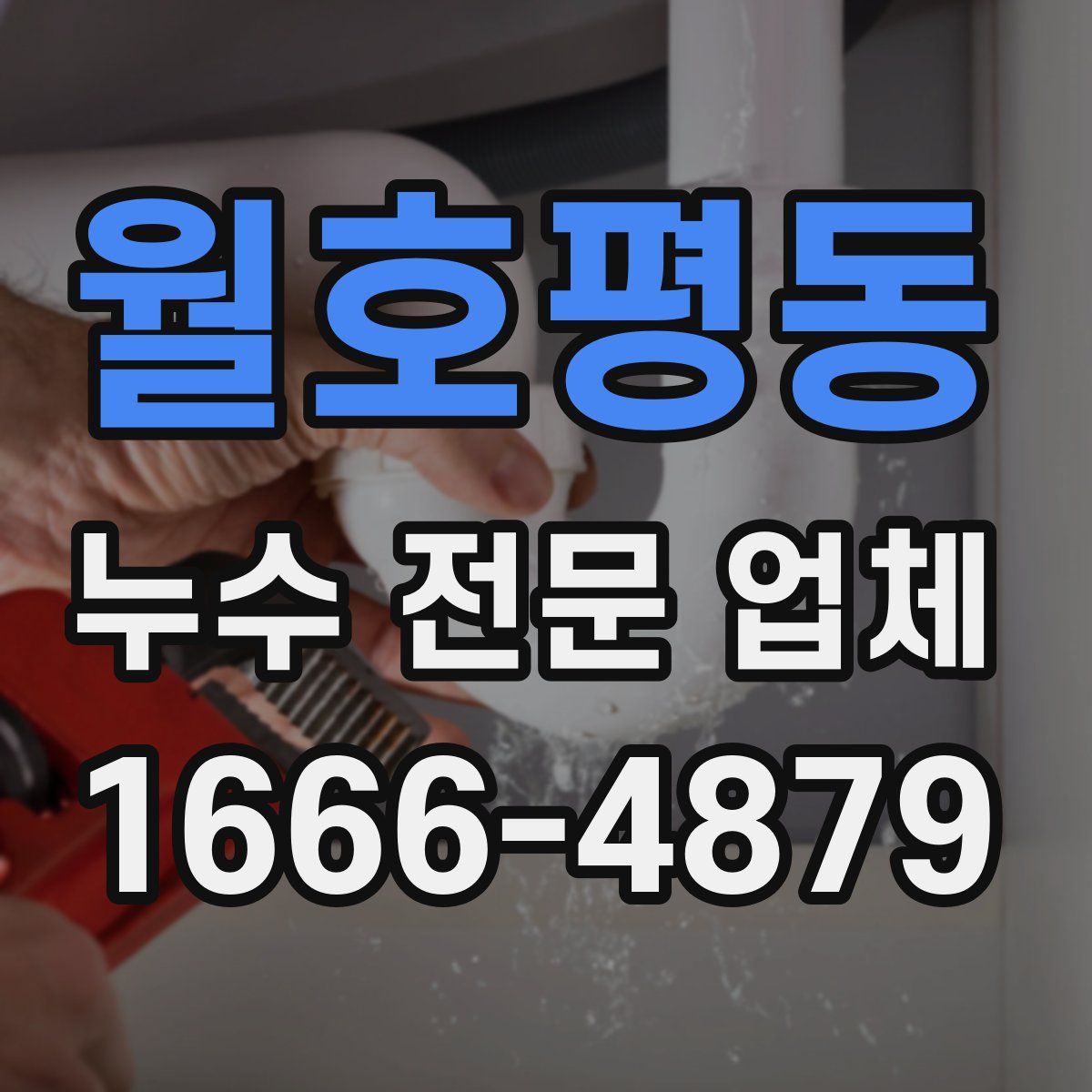 월호평동 누수 전문 업체